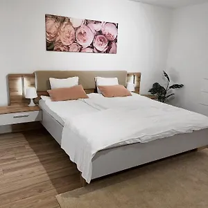  Apartment Eine Schöne Im Herzen Von Basel.